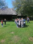 większy obrazek nr 6