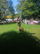 ilustracja do wpisu 
Wizyta funkcjonariusza Straży Miejskiej