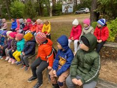 ilustracja do wpisu 
Pokazy sokolnicze - Muzeum wsi- Jurowce