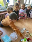 ilustracja do wpisu 
Poznajemy rośliny