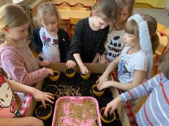 ilustracja do wpisu 
Siejemy owies-symbol rodzącego się życia oraz wiosny!