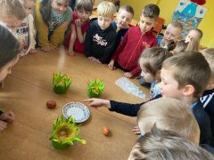 ilustracja do wpisu 
Jajko-zabawy badawcze