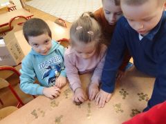 większy obrazek nr 6