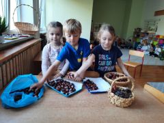 większy obrazek nr 1