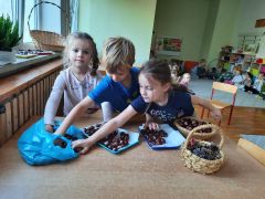 większy obrazek nr 3