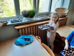 większy obrazek nr 5