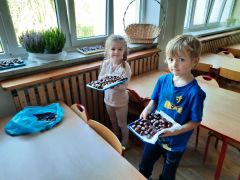 większy obrazek nr 6