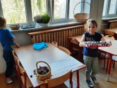 większy obrazek nr 9