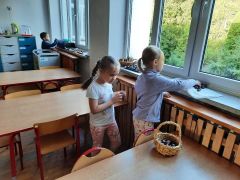 większy obrazek nr 12