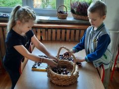 większy obrazek nr 16