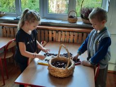 większy obrazek nr 17