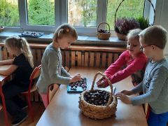 większy obrazek nr 19