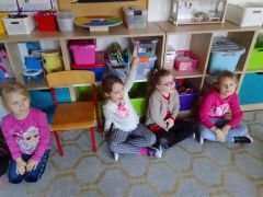 większy obrazek nr 5