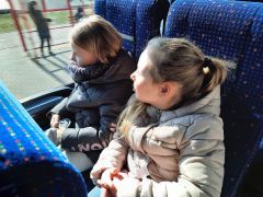 większy obrazek nr 1