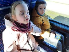 większy obrazek nr 2