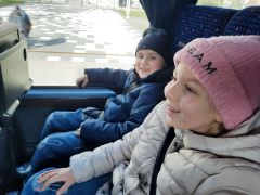 większy obrazek nr 17