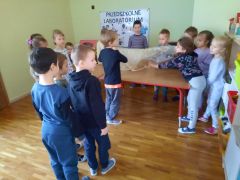 większy obrazek nr 1