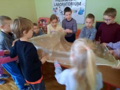 większy obrazek nr 2