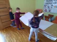 większy obrazek nr 7