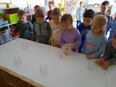 większy obrazek nr 13