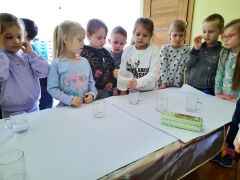 większy obrazek nr 14