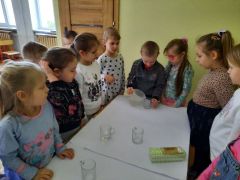 większy obrazek nr 15