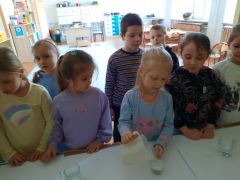 większy obrazek nr 16