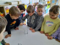 większy obrazek nr 17