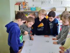 większy obrazek nr 18