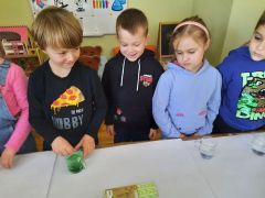 większy obrazek nr 20