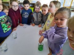 większy obrazek nr 21