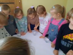 większy obrazek nr 22