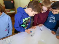 większy obrazek nr 23