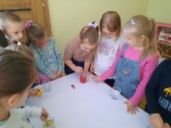 większy obrazek nr 25