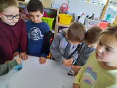 większy obrazek nr 30