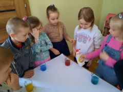 większy obrazek nr 41