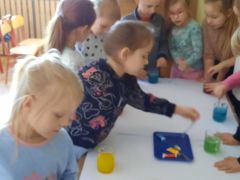 większy obrazek nr 48