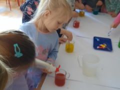 większy obrazek nr 49