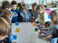 większy obrazek nr 51