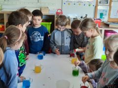 większy obrazek nr 52