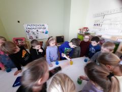 większy obrazek nr 53