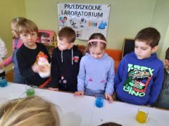 większy obrazek nr 55