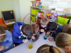 większy obrazek nr 58