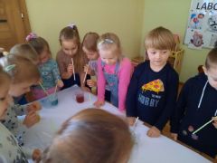 większy obrazek nr 59