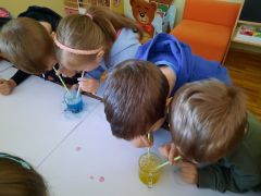 większy obrazek nr 60