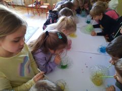 większy obrazek nr 61