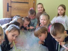 większy obrazek nr 73