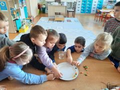 większy obrazek nr 76