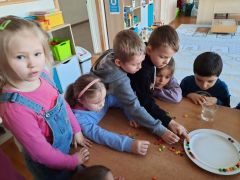 większy obrazek nr 77