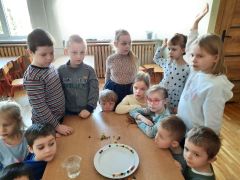 większy obrazek nr 78